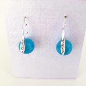 Small Turquoise Dangle Earrings